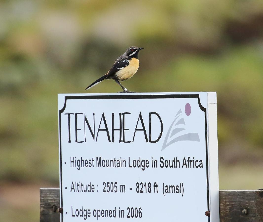 Tenahead Lodge & Spa Rhodes Eksteriør bilde